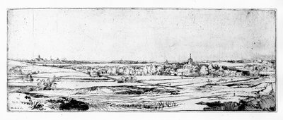 Das Goldwägerfeld bei Haarlem, 1651 von Rembrandt van Rijn